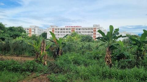 MM Mega Market trúng đấu giá khu đất 19.000m2 xây siêu thị tại Đà Nẵng