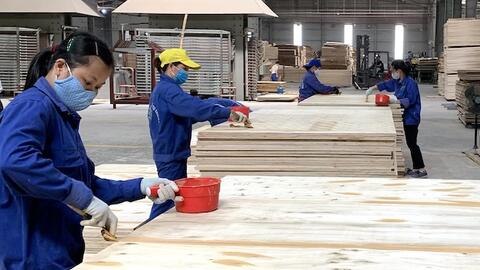 Ngành chế biến gỗ dự thu hơn 17 tỷ USD cả năm 2024