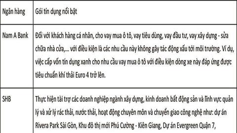 Tín dụng xanh tại Việt Nam: Thực trạng và các khuyến nghị chính sách