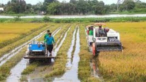 Lộc Trời giải thể và chuyển nhượng vốn các công ty con