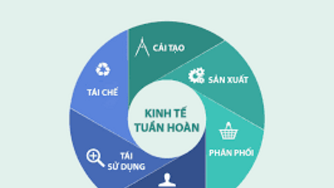 Những mô hình kinh tế tuần hoàn nổi bật trên thế giới
