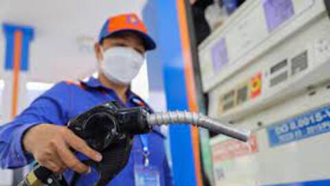 Cổ phiếu khuyến nghị hôm nay (10/10): PLX, DGW và DPR