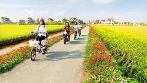 Vốn tín dụng chiếm trên 70% tổng số vốn thực hiện Chương trình mục tiêu quốc gia xây dựng nông thôn mới