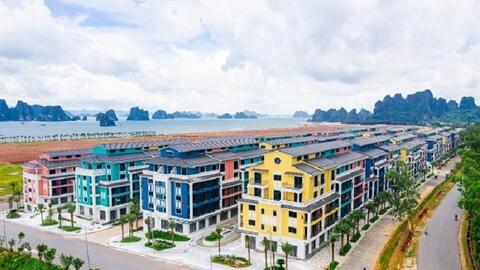 CEO: Quý II, doanh thu và lợi nhuận cùng giật lùi