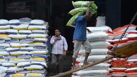 Giá gạo Ấn Độ giảm xuống mức thấp nhất kể từ đầu tháng 2