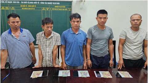 Anh Sơn (Nghệ An): Bắt giữ các đối tượng đánh bạc bằng hình thức chọi trâu