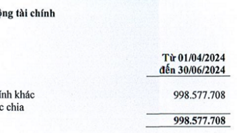 Mất khoản lớn từ thu nhập tài chính, lãi ròng An Dương Thảo Điền ‘bốc hơi’ gần 90%