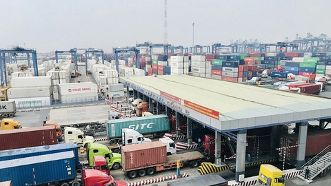Thành viên của Tân Cảng Sài Gòn sắp trả cổ tức tiền mặt cao kỷ lục