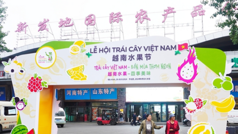 Mở rộng danh mục các loại trái cây Việt Nam được xuất khẩu chính ngạch vào Trung Quốc