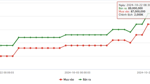 Vàng miếng tăng 3 triệu đồng/ngày, nhà đầu tư cần tránh tâm lý FOMO