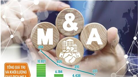 Kinh tế khởi sắc sẽ vực dậy thị trường M&A
