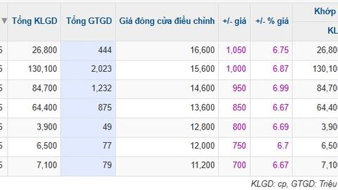 Cổ phiếu tăng kịch trần 7 phiên liên tiếp, YBM tung giải trình văn mẫu