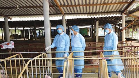 Hà Nội đẩy mạnh đầu tư ứng dụng công nghệ cao trong chăn nuôi