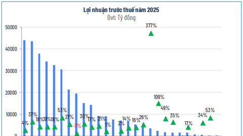 Bên dưới ‘tảng băng’ lợi nhuận ngân hàng năm 2025