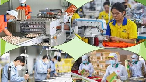 Tổng điều tra kinh tế năm 2026: Dồn lực tăng tốc cho chặng cuối giai đoạn "nước rút"