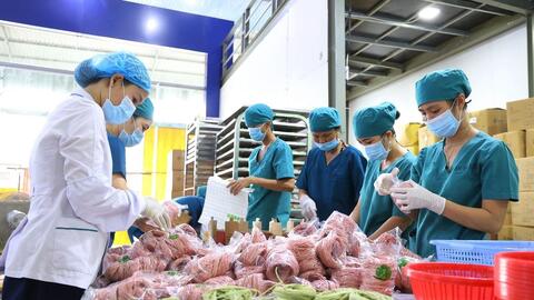 Nghệ An bứt phá xuất khẩu, định hình trung tâm sản xuất mới Bắc Trung Bộ