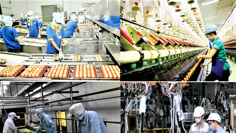 Quy mô doanh nghiệp mở rộng, tiếp tục là động lực tăng trưởng của nền kinh tế
