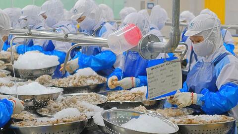 Thuế xuất khẩu 0%: Vì sao doanh nghiệp được hoàn thuế Giá trị gia tăng, hộ kinh doanh thì không?