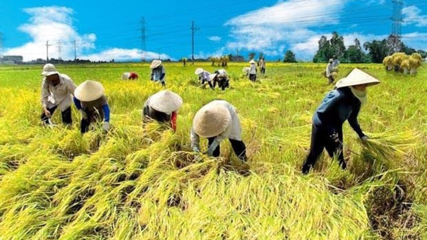 Bộ Nông nghiệp và Môi trường: Không thể bỏ chính sách giao đất có thu tiền