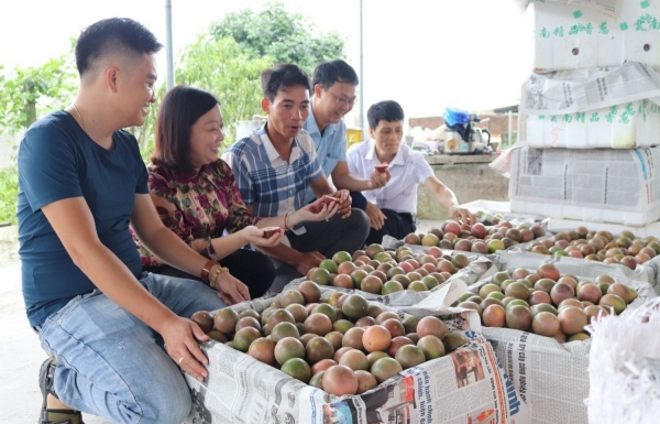 Chanh leo dự kiến được xuất khẩu sang Hoa Kỳ vào năm 2025.