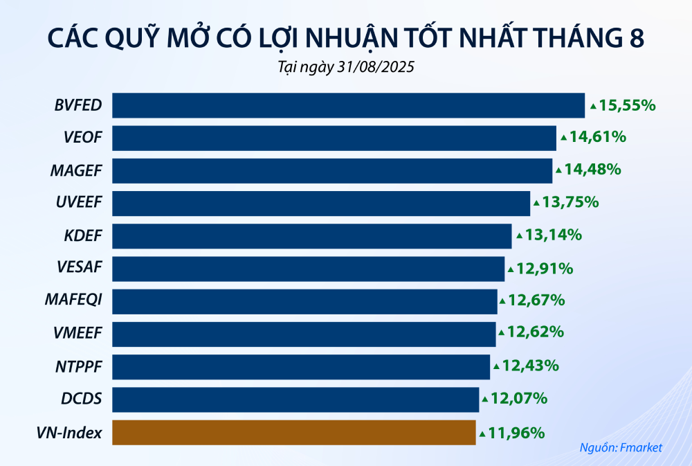 cac-quy-mo-co-loi-nhuan-tot-nhat-thang-8.png
