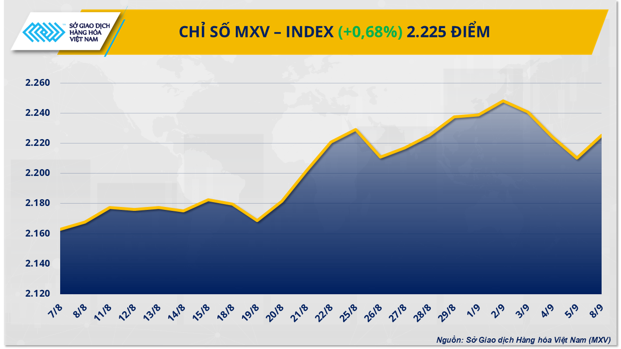 mxv-index-62-.png