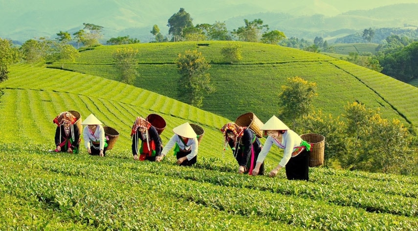 Dòng vốn chính sách tiếp sức hộ khó khăn vươn lên thoát nghèo ở Phú Thọ giảm nghèo