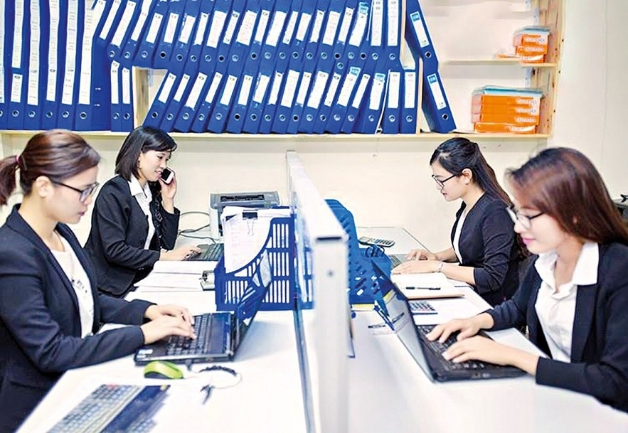 Doanh nghiệp kiểm toán phải mua bảo hiểm trách nhiệm nghề nghiệp cho kiểm toán viên hành nghề