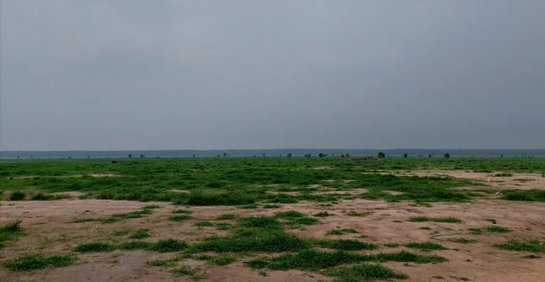 quy hoạch đất đai