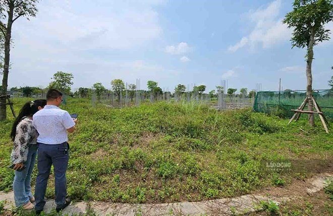 Cục Quản lý đất đai trả lời phản ánh về cấp sổ đỏ cho đất vi phạm trước 1.7.2014