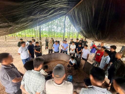 Công an tỉnh Tây Ninh triệt phá sới gà trong rừng cao su