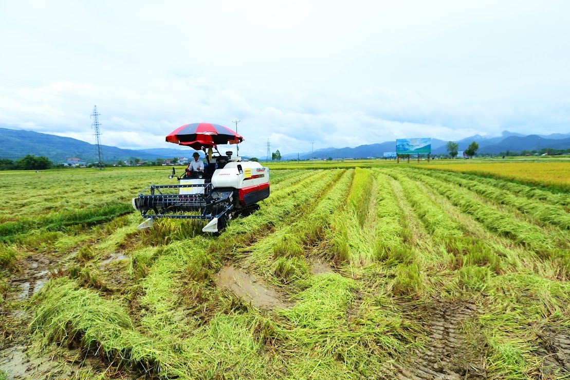 Giải ngân chương trình mục tiêu quốc gia