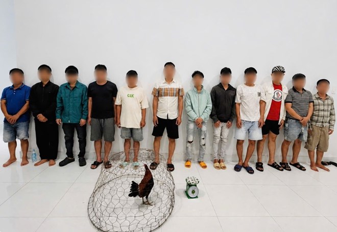 Tụ điểm đá gà vừa giao nhận tiền thắng thua thì bị công an ập vào bắt giữ