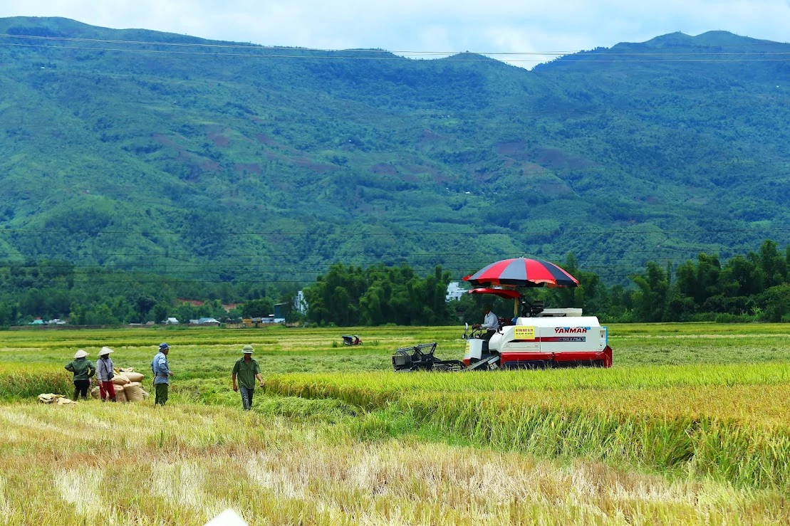 Đổi mới cách vận hành 4 chương trình mục tiêu quốc gia, hướng tới hiệu quả thực chất