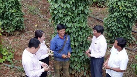 Tín dụng chính sách trên cao nguyên MNông