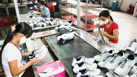 Doanh nghiệp cần chủ động nguồn nguyên liệu