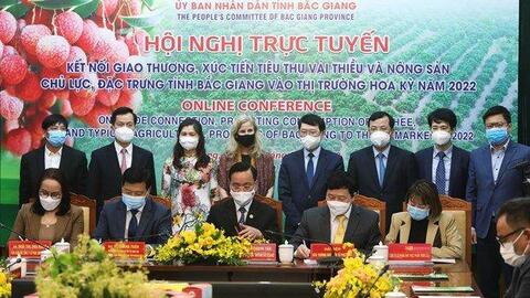 Tỉnh Bắc Giang đẩy mạnh xuất khẩu vải thiều sang Mỹ