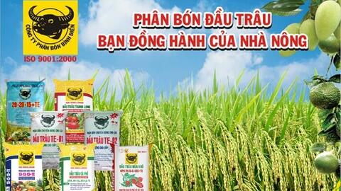 Phân bón Bình Điền (BFC): Lợi nhuận 6 tháng tăng nhẹ lên hơn 4.400 tỷ, lãi trước thuế đi lùi