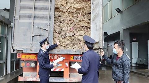 1 tháng, ngành Hải quan phát hiện, bắt giữ 1.842 vụ vi phạm pháp luật hải quan
