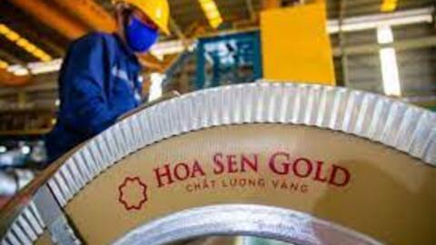 Tập đoàn Hoa Sen (HSG) triển khai phát hành gần 100 triệu cổ phiếu trả cổ tức