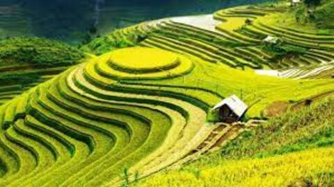 Phó Thủ tướng Thường trực Chính phủ Phạm Bình Minh làm Chủ tịch Hội đồng điều phối vùng trung du và miền núi phía Bắc