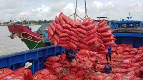Việt Nam nhập gần 1 triệu tấn gạo, Bộ Công Thương đề xuất sửa nghị định để kiểm soát