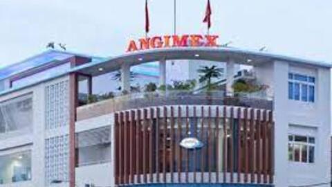 Ông Vũ Ngọc Long xin từ nhiệm phó chủ tịch và thành viên HĐQT Angimex (AGM)