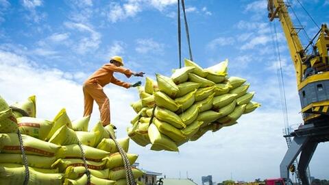 Ấn Độ cấm xuất khẩu gạo, Bộ Công Thương hoả tốc chỉ đạo
