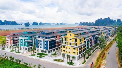 CEO: Quý II, doanh thu và lợi nhuận cùng giật lùi