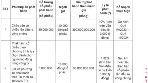 "Bóng dáng" Capella Group tại chứng khoán DNSE