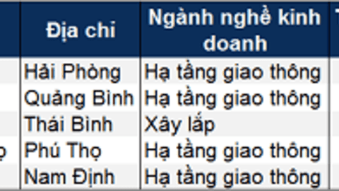 Tasco lập công ty hơn ngàn tỷ để quản lý các doanh nghiệp dự án BOT