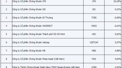 Thị phần HOSE quý 1/2024: Nhiều hoán đổi thứ hạng ở dưới top 5