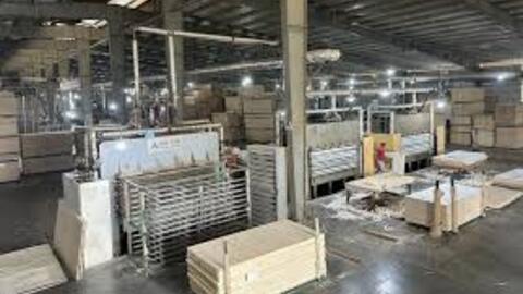 Hàn Quốc điều tra chống bán phá giá: DN gỗ Việt lo phá sản nếu áp bị thuế cao