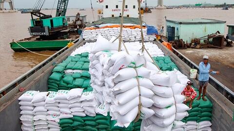 Hoàn thiện hành lang pháp lý cho hoạt động xuất khẩu gạo